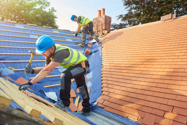 Best Roof Maintenance and Cleaning  in Lake Tapps, WA